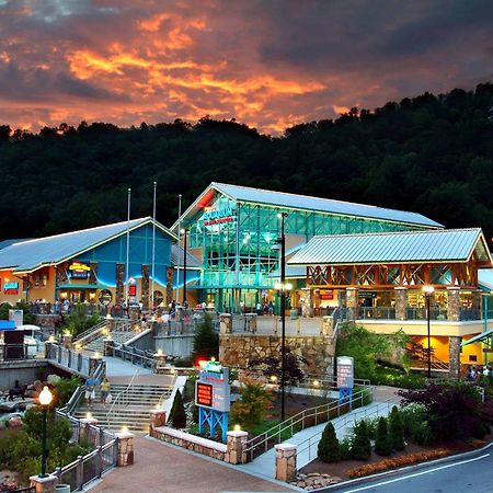 The Solstice - Amenities Galore Mountain Retreat 蓋特林堡 外观 照片