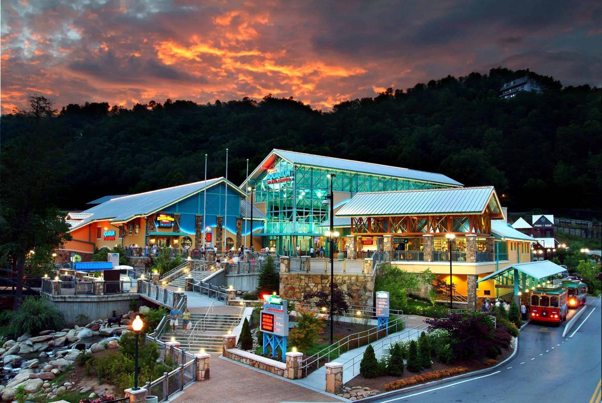The Solstice - Amenities Galore Mountain Retreat 蓋特林堡 外观 照片